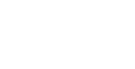 City2Go - Innenstädte erfolgreich online